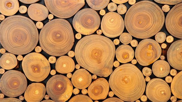 Vật liệu gỗ ngoài trời cao cấp